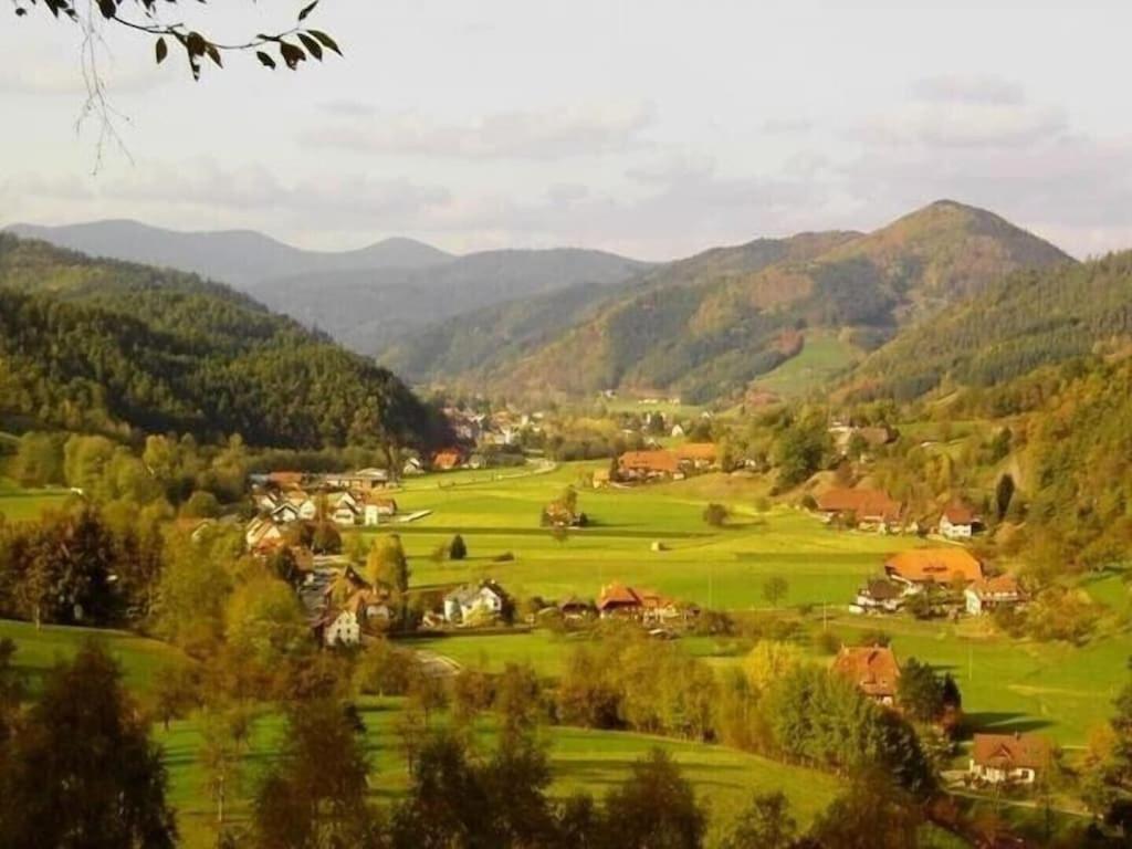 Oberbauernhof - Wohnung "Am Garten" -- Moderne Fewo Im Schoenen Schwarzwaldhaus Gutach Exterior foto